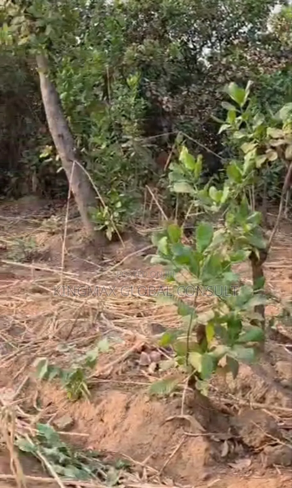 Dape Residential Plot for Distress Sale*: Size 856sqm in Life Camp
