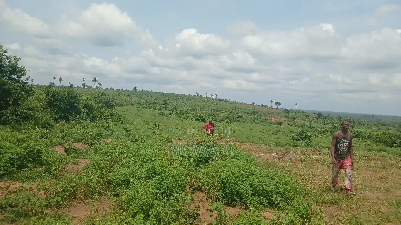 “If You’Re Seeing This Land, You’Re Early.” in Oshimili North