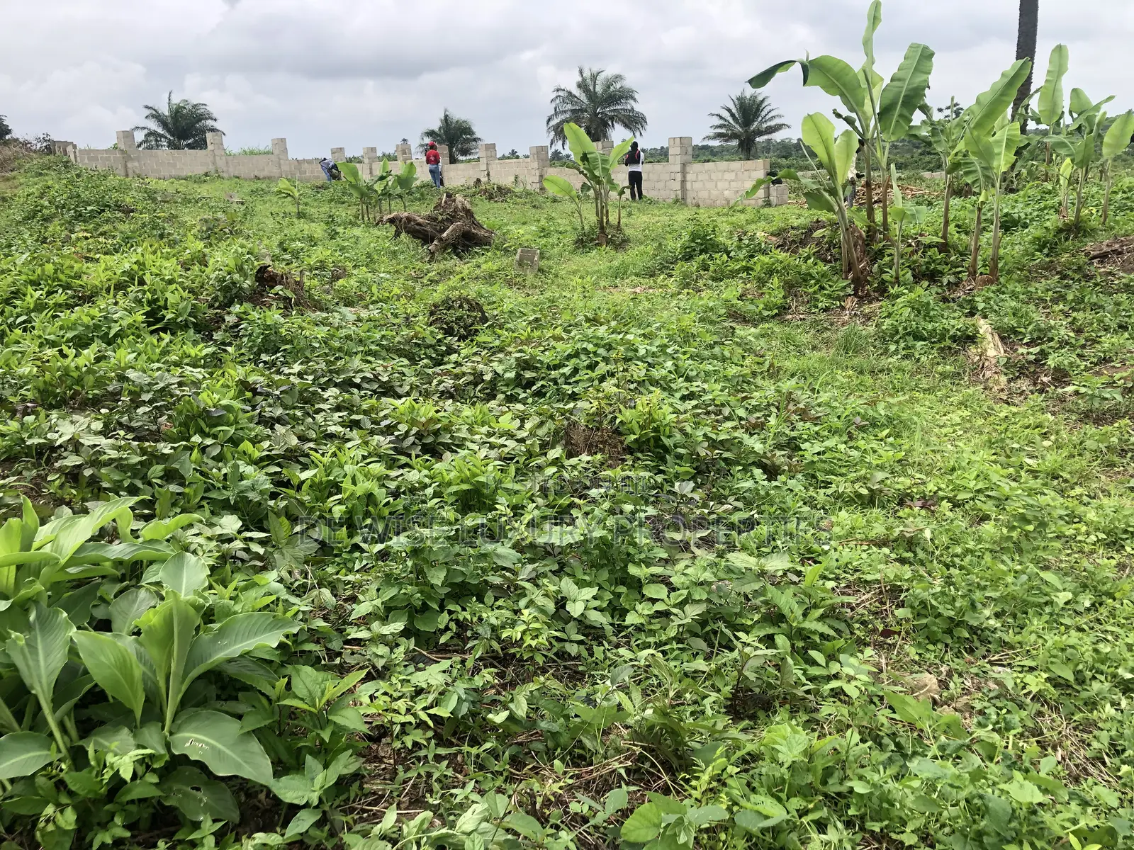 Land in Lotanna Estate Ngor Okpala Owerri in Owerri