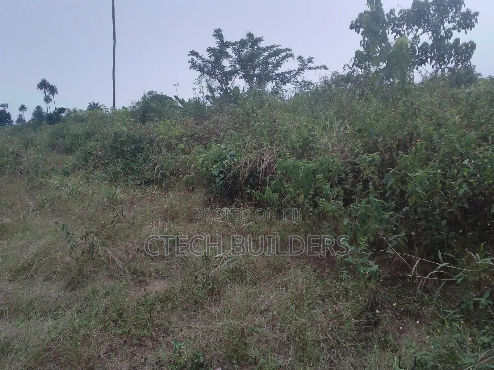 Property Sales in Benin City