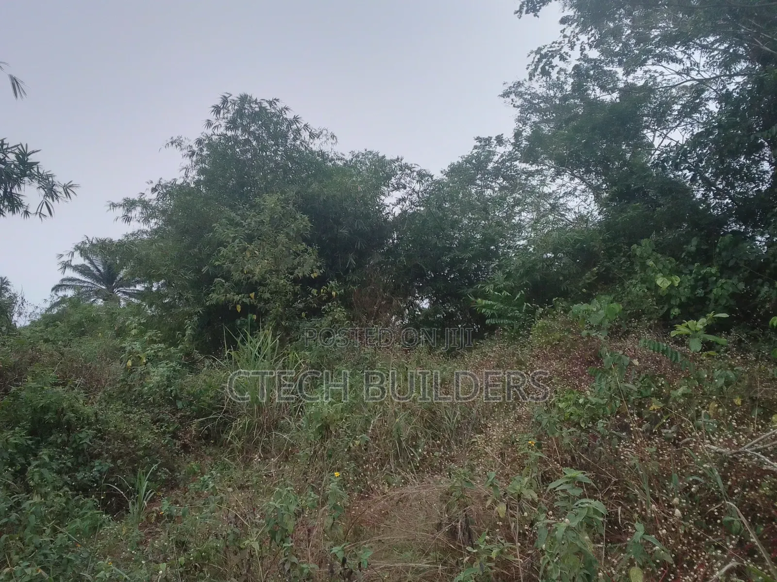 Property Sales in Benin City
