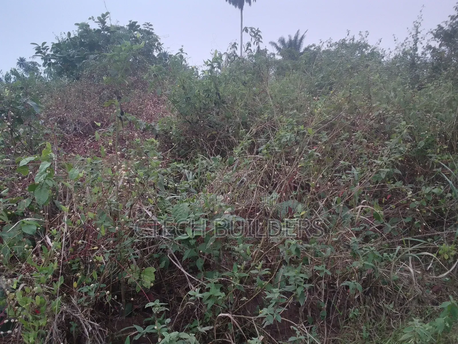 Property Sales in Benin City