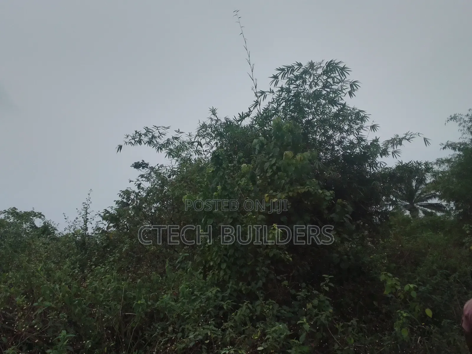 Property Sales in Benin City