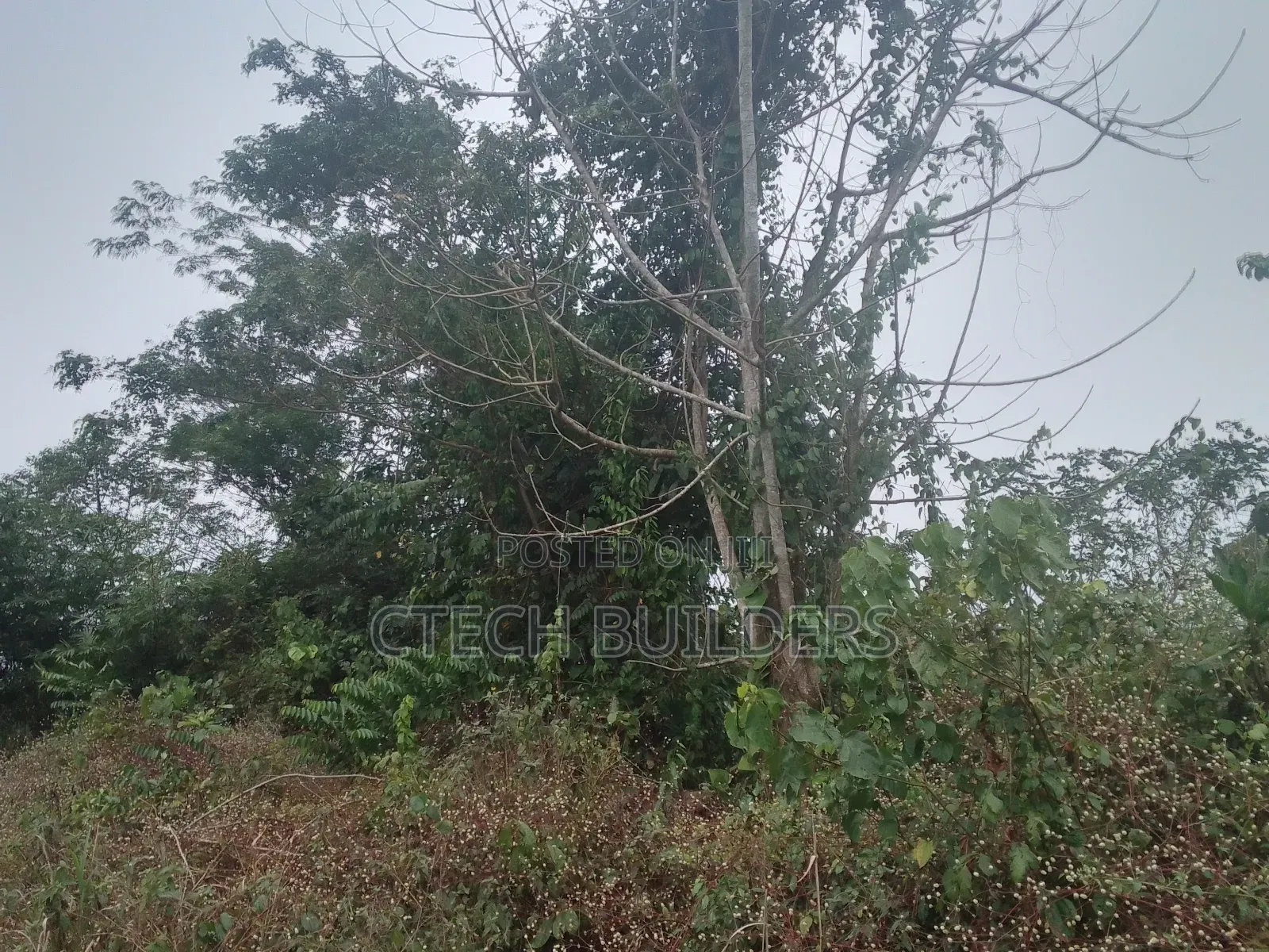 Property Sales in Benin City