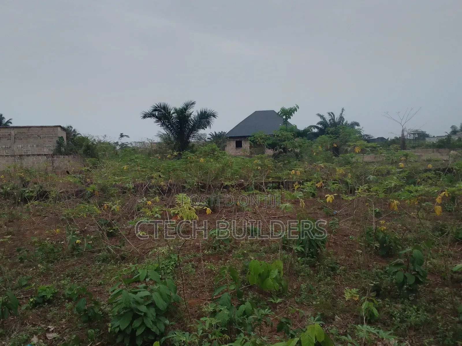 Distress Sales in Benin City