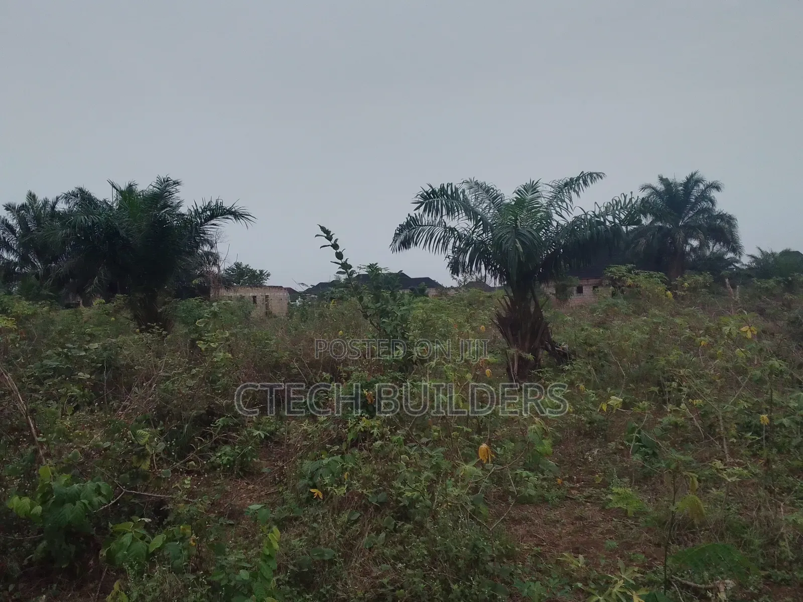 Distress Sales in Benin City