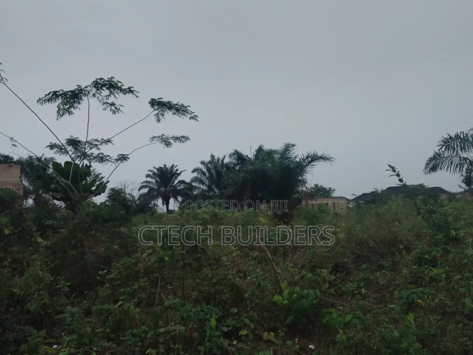 Distress Sales in Benin City