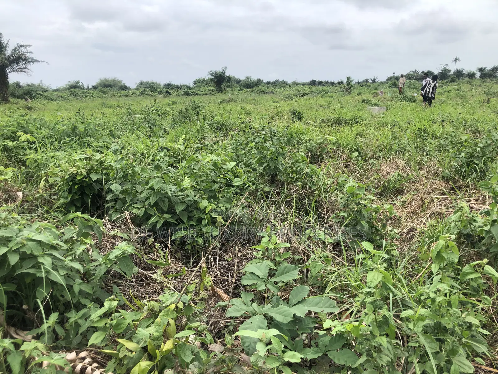 Land in Legacy Haven 2 Ogwashi Uku, Asaba in Aniocha South