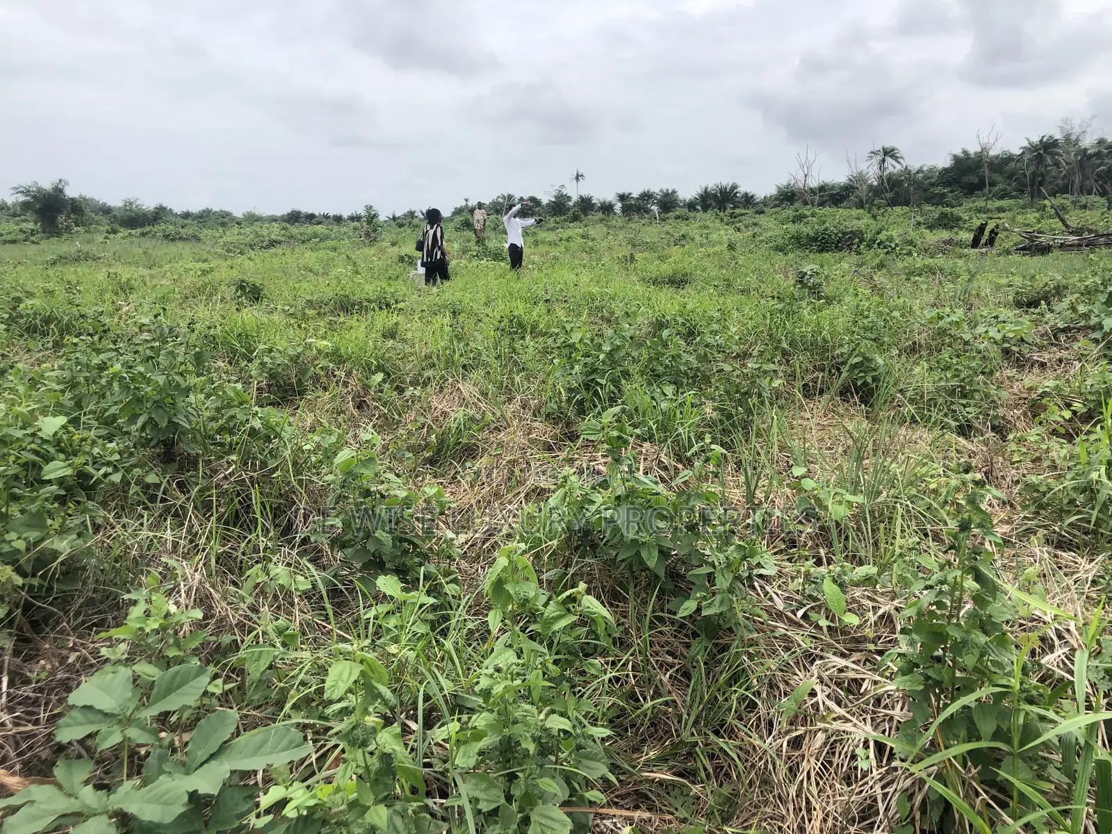 Land in Legacy Haven 2 Ogwashi Uku, Asaba in Aniocha South