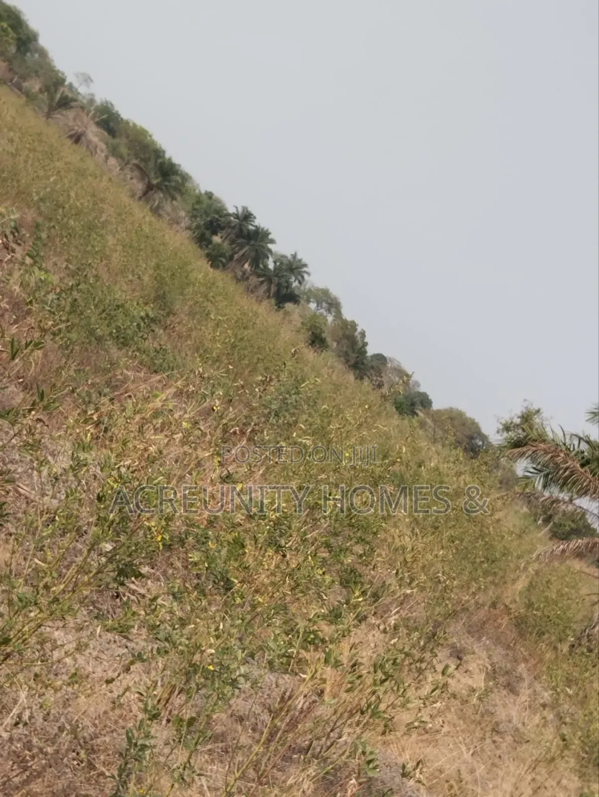130 Acres of Land – Alobo Village, Along Iseyin–Ikere (George Dam Axis in Iseyin
