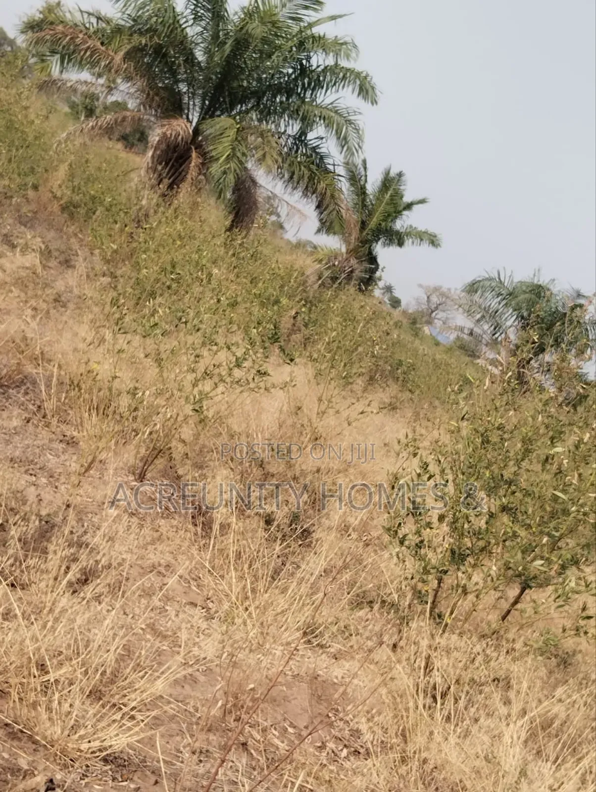 130 Acres of Land – Alobo Village, Along Iseyin–Ikere (George Dam Axis in Iseyin