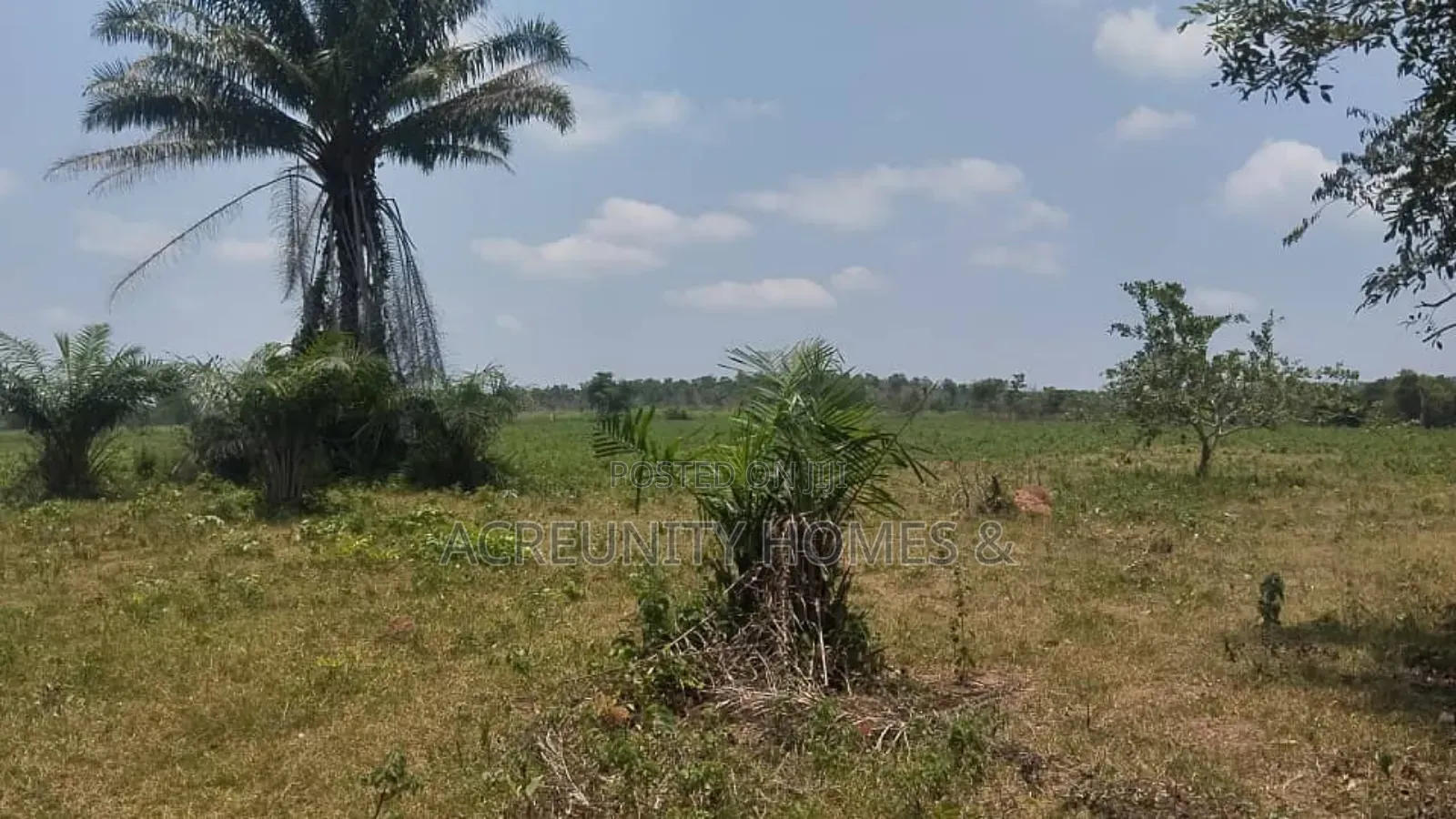 10 Acres of Land for Sale – Km 9, Iseyin–Ogbomoso Road in Iseyin