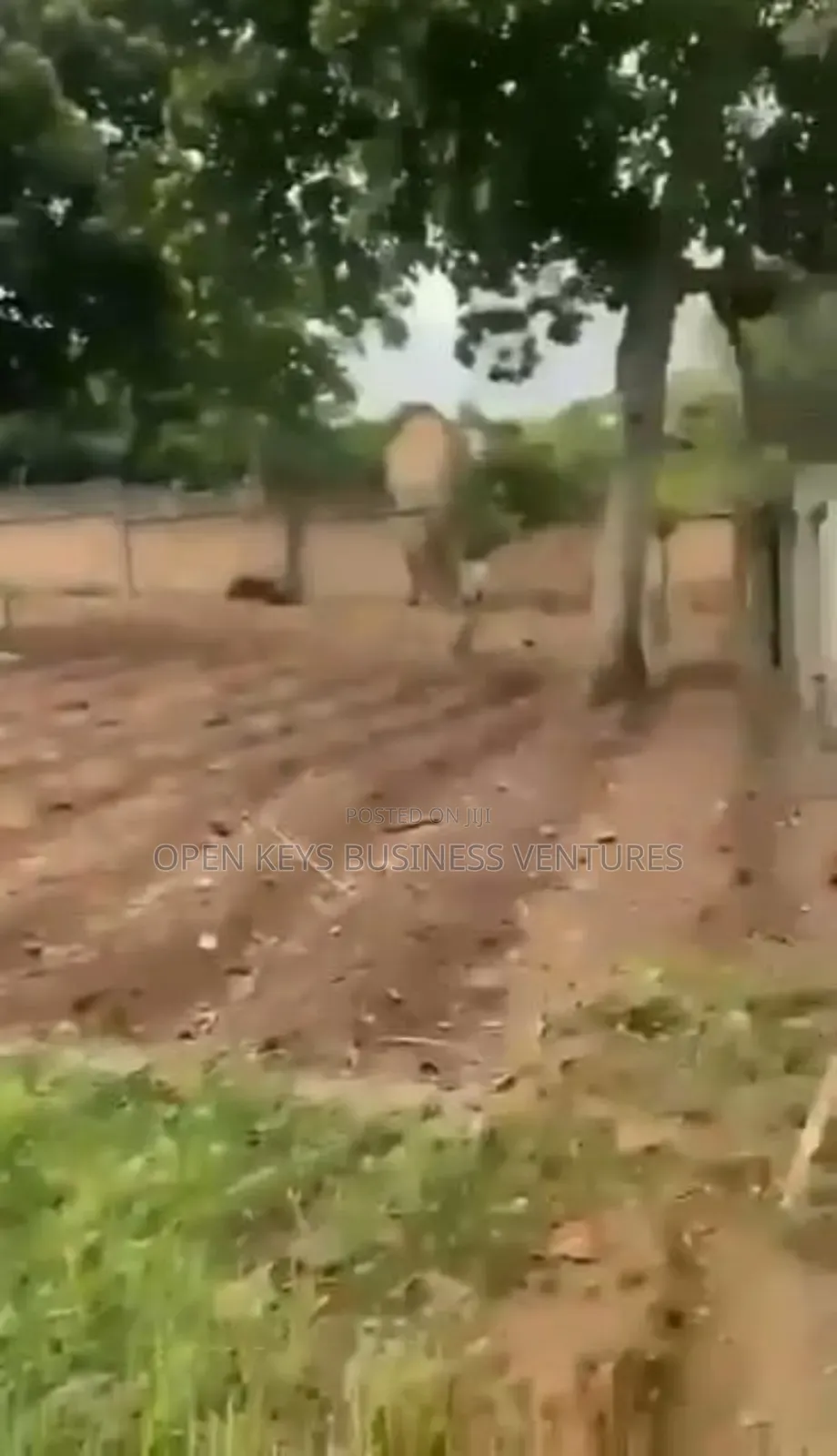 1,500sqm of Residential Land at Akere Close in Agodi