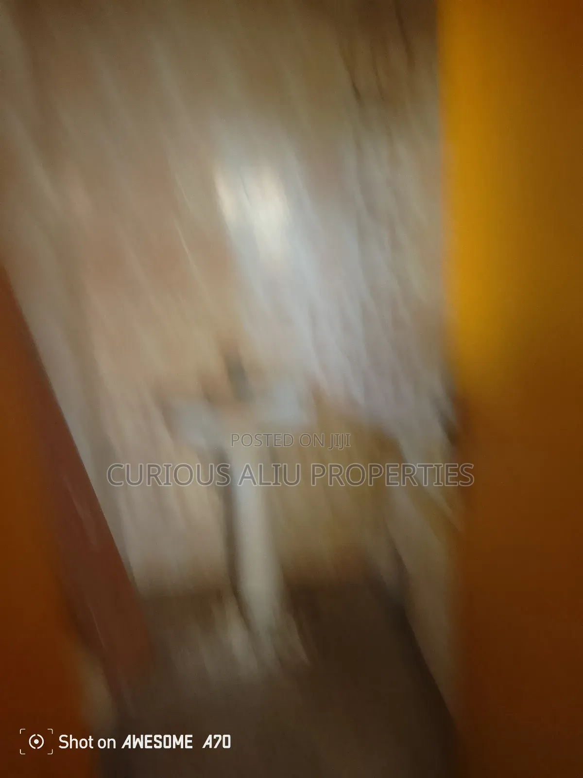 Three Bedroom for Rent Commercial in Utako