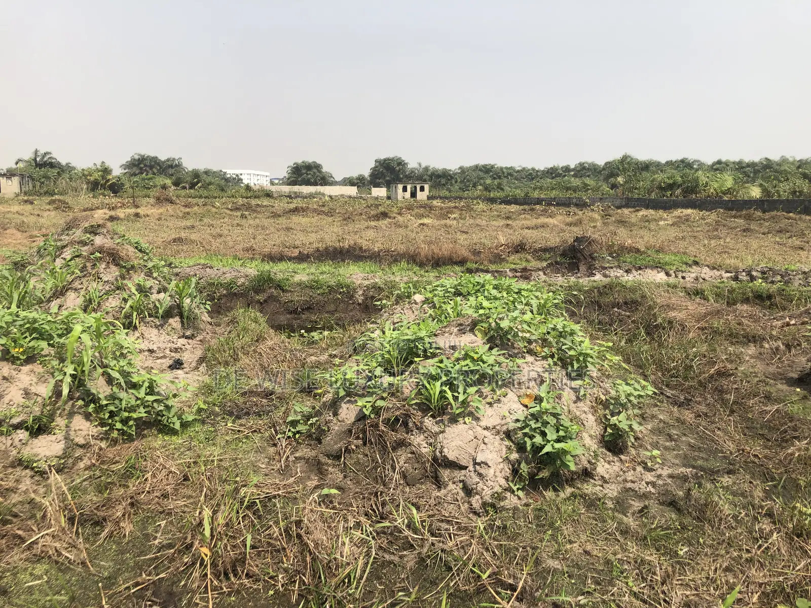 Land in an Estate in Umuelu Umuagwo Community, Ohaji Egbema, Imo in Ohaji/Egbema