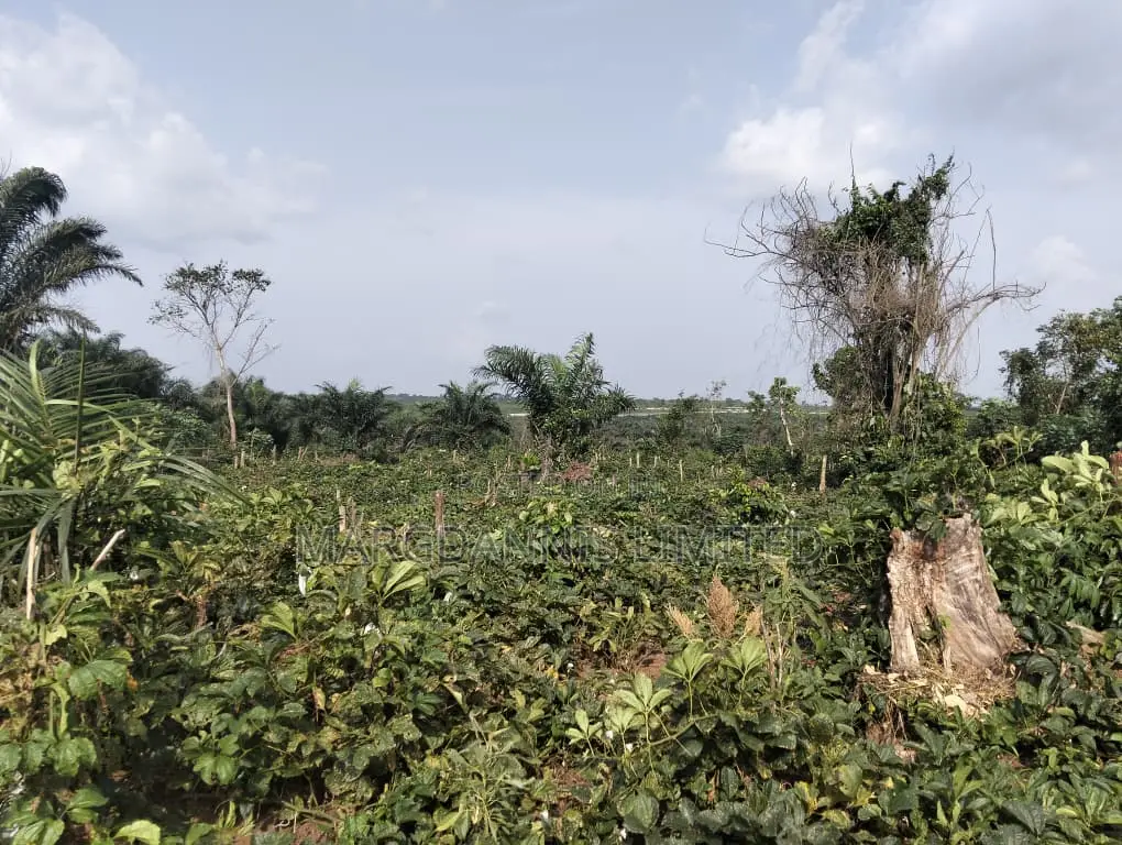 Sales, 60 Plots of Land, at Back of Adron Homes, Emuren Rd. Off Imota in Emure