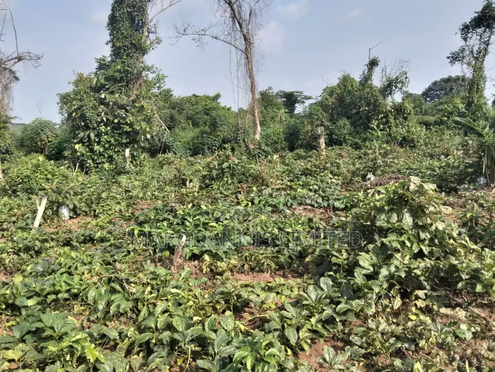 Sales, 60 Plots of Land, at Back of Adron Homes, Emuren Rd. Off Imota in Emure