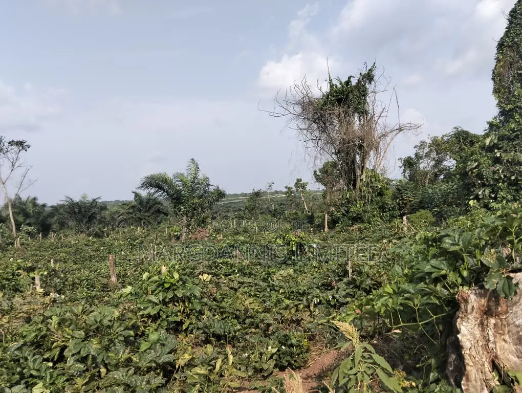 Sales, 60 Plots of Land, at Back of Adron Homes, Emuren Rd. Off Imota in Emure