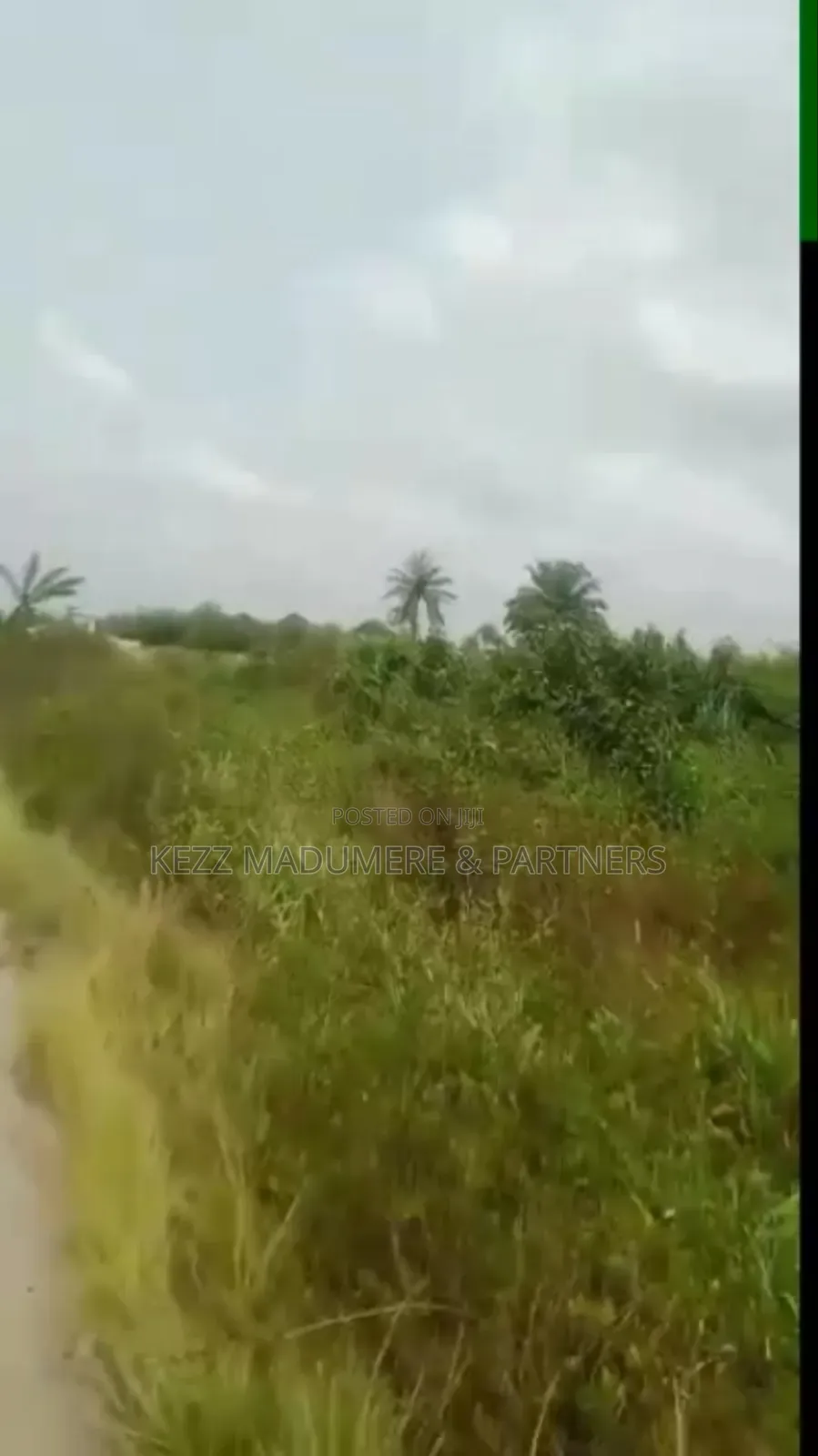 For Sale : Over 3500 Dried Plots Land in Omagwa, Port Harcourt in Port-Harcourt