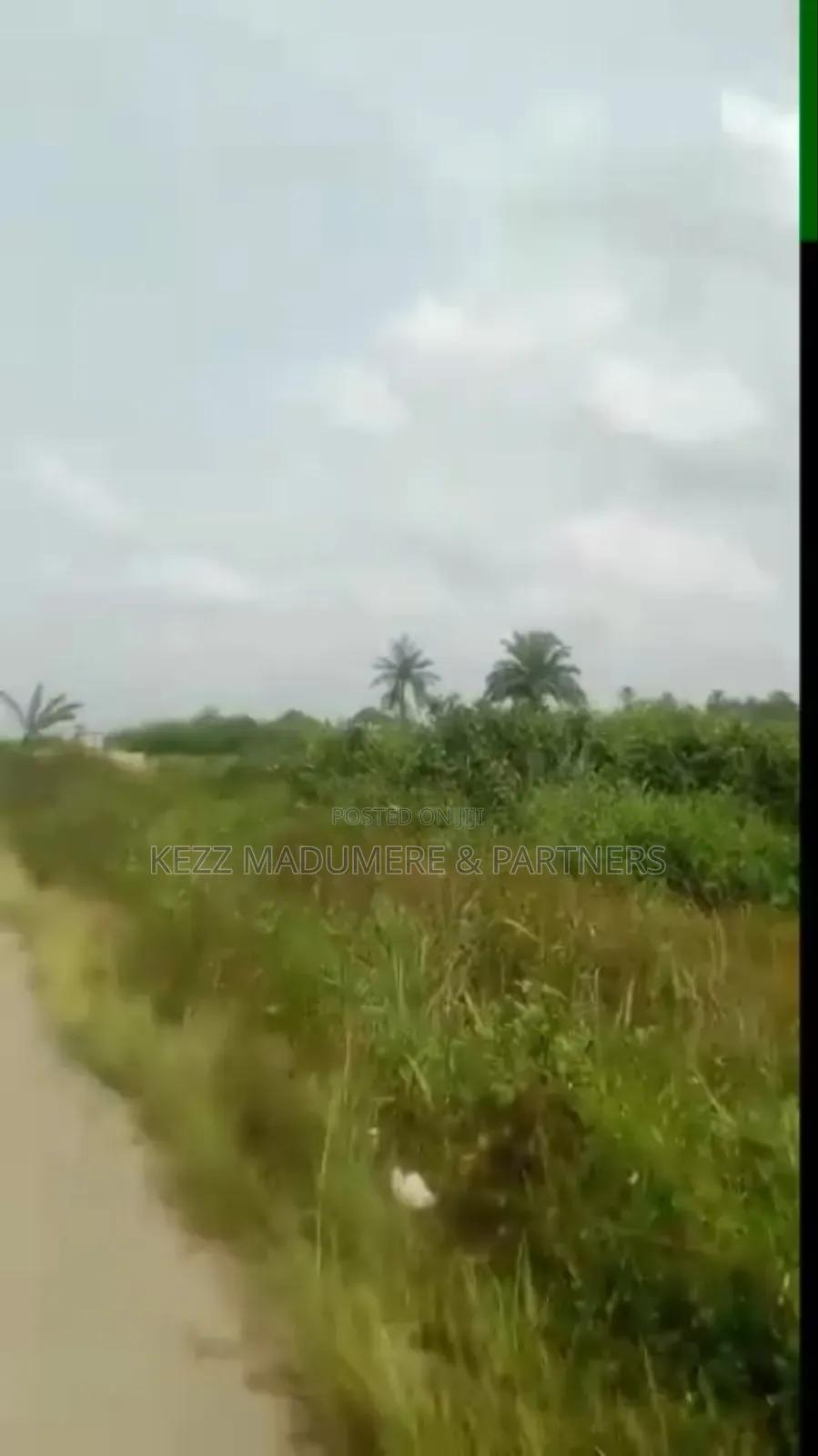 For Sale : Over 3500 Dried Plots Land in Omagwa, Port Harcourt in Port-Harcourt