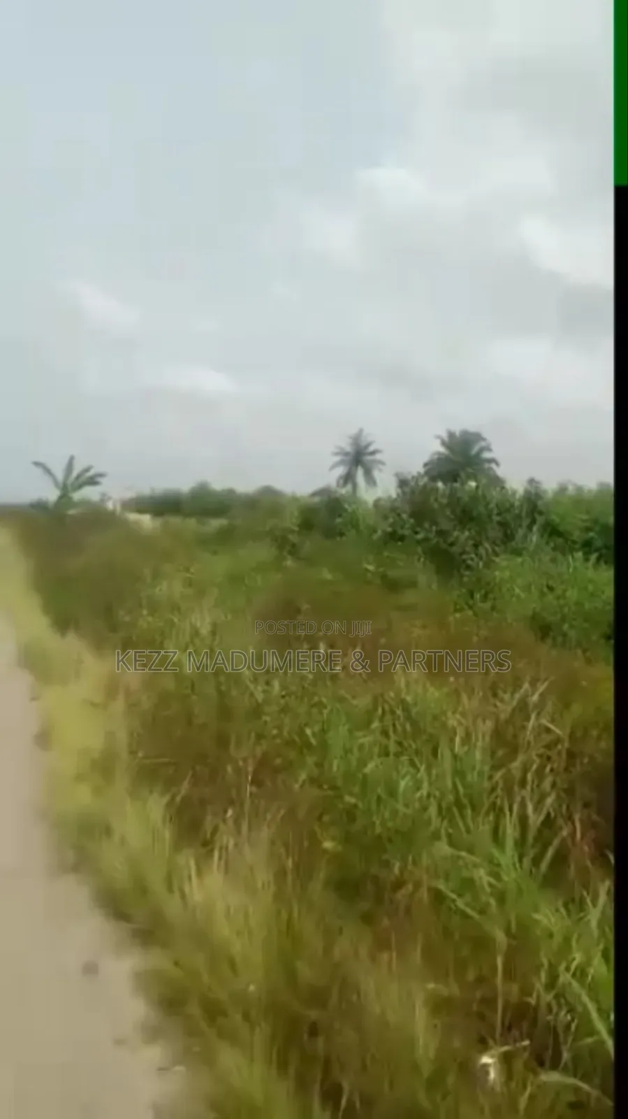 For Sale : Over 3500 Dried Plots Land in Omagwa, Port Harcourt in Port-Harcourt