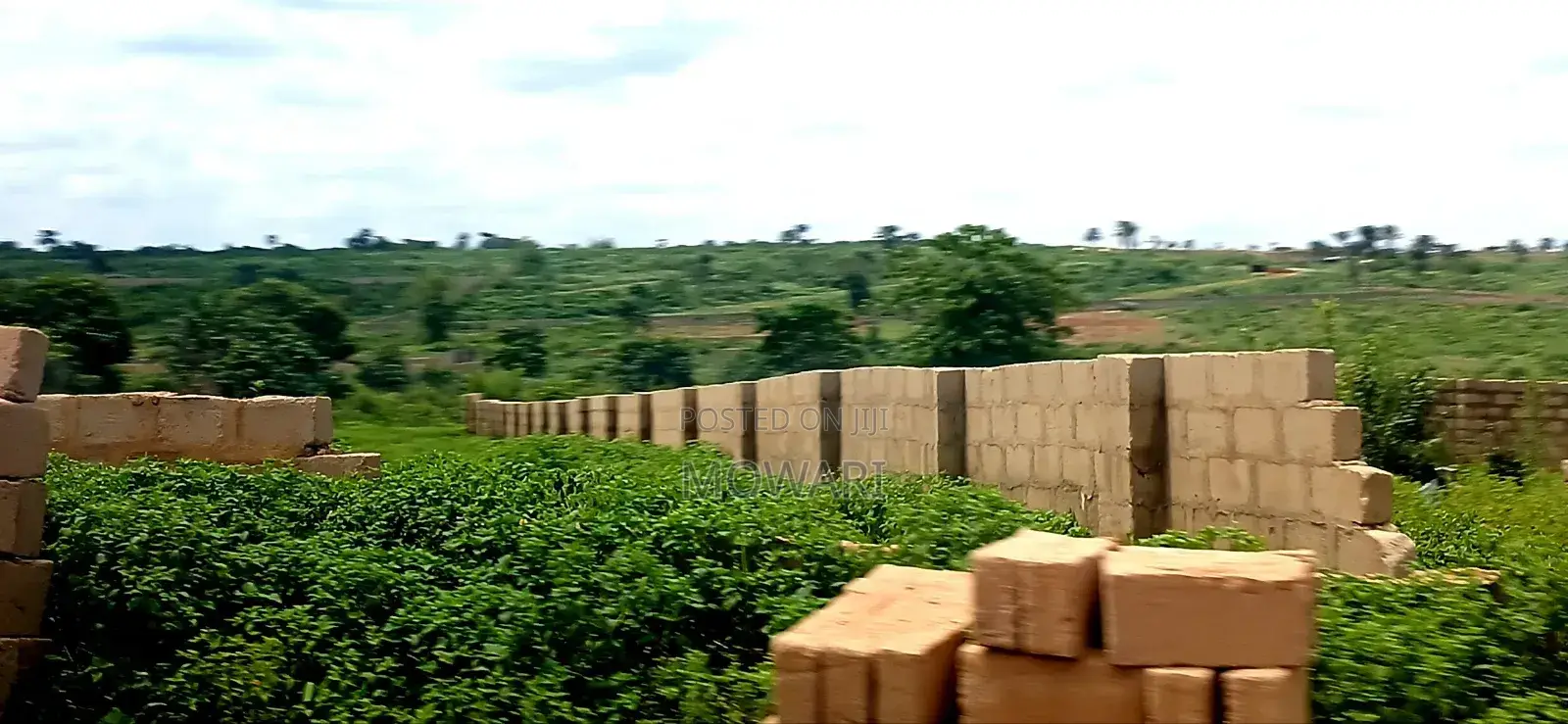 You’Re Still Early — St. Kitts, Ibusa Expansion in Oshimili North