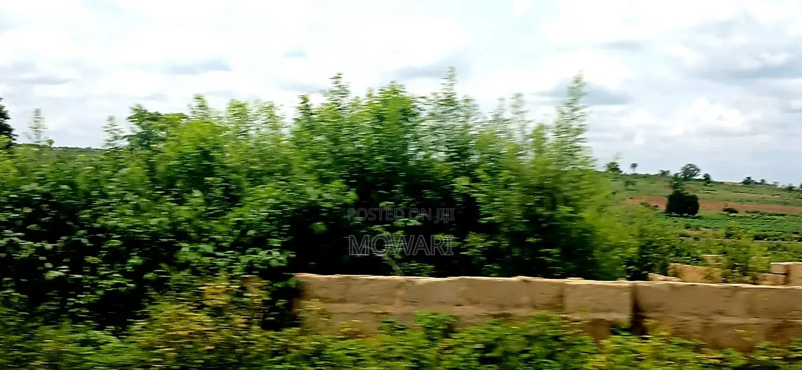You’Re Still Early — St. Kitts, Ibusa Expansion in Oshimili North