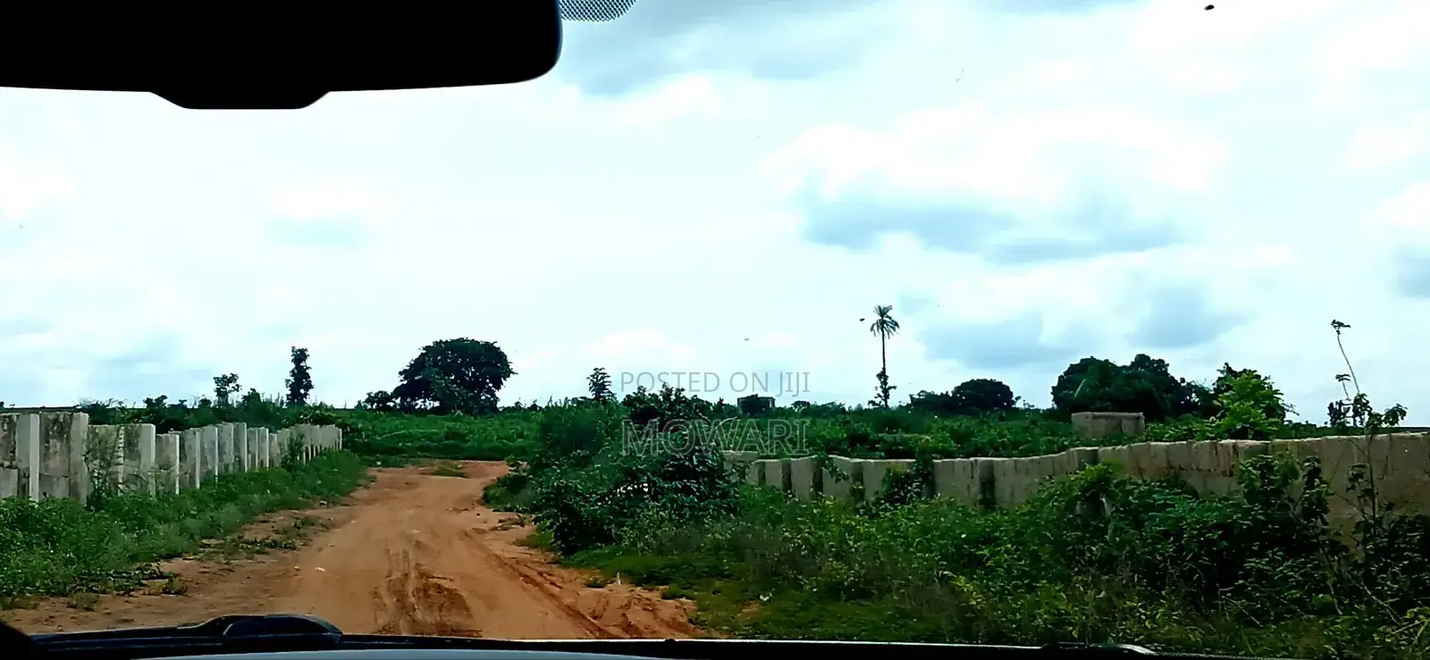 You’Re Still Early — St. Kitts, Ibusa Expansion in Oshimili North