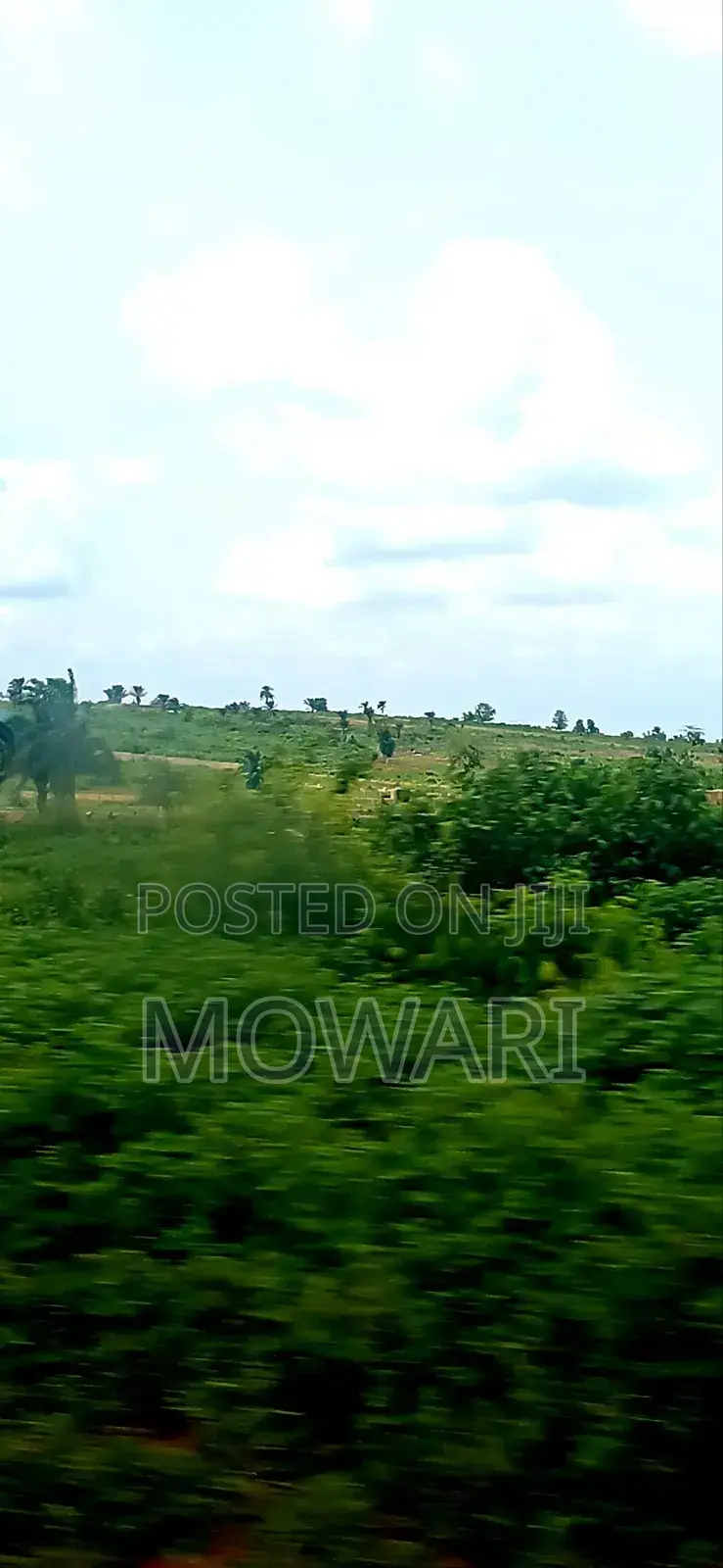 Final Entry Phase — St. Kitts, Ibusa in Oshimili North