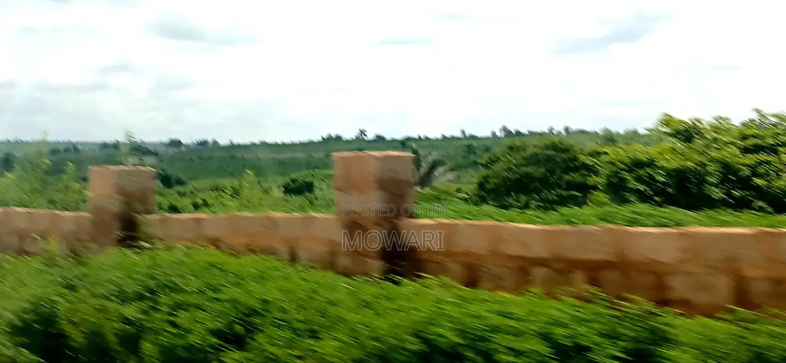 Plots Open — Not for Long in Oshimili North
