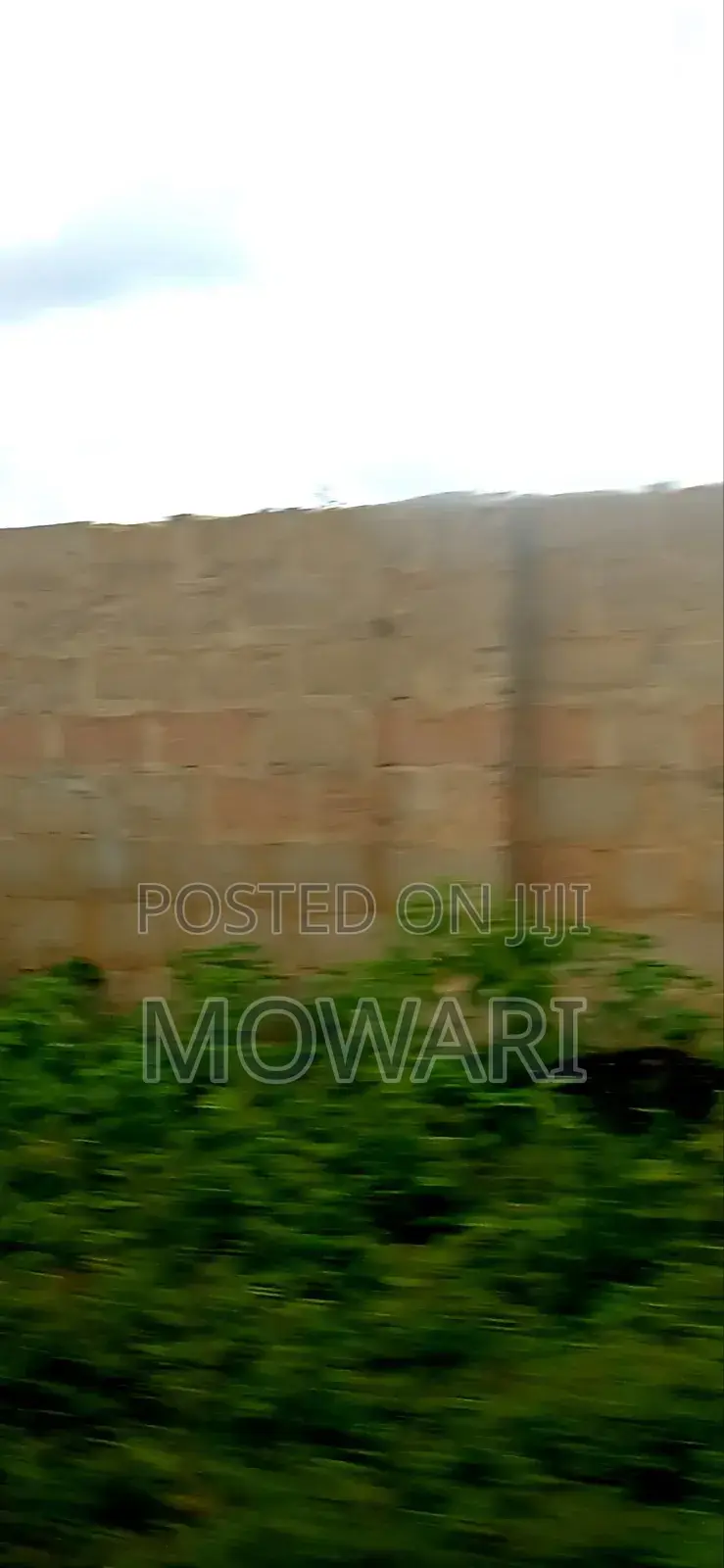 Plots Open — Not for Long in Oshimili North