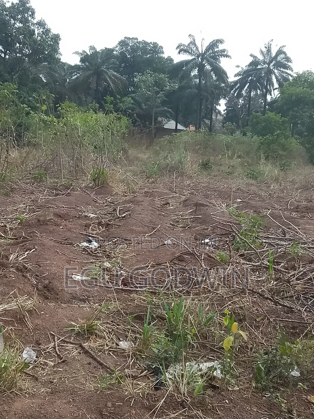 Land at Independence Layout Phase 2 in Enugu