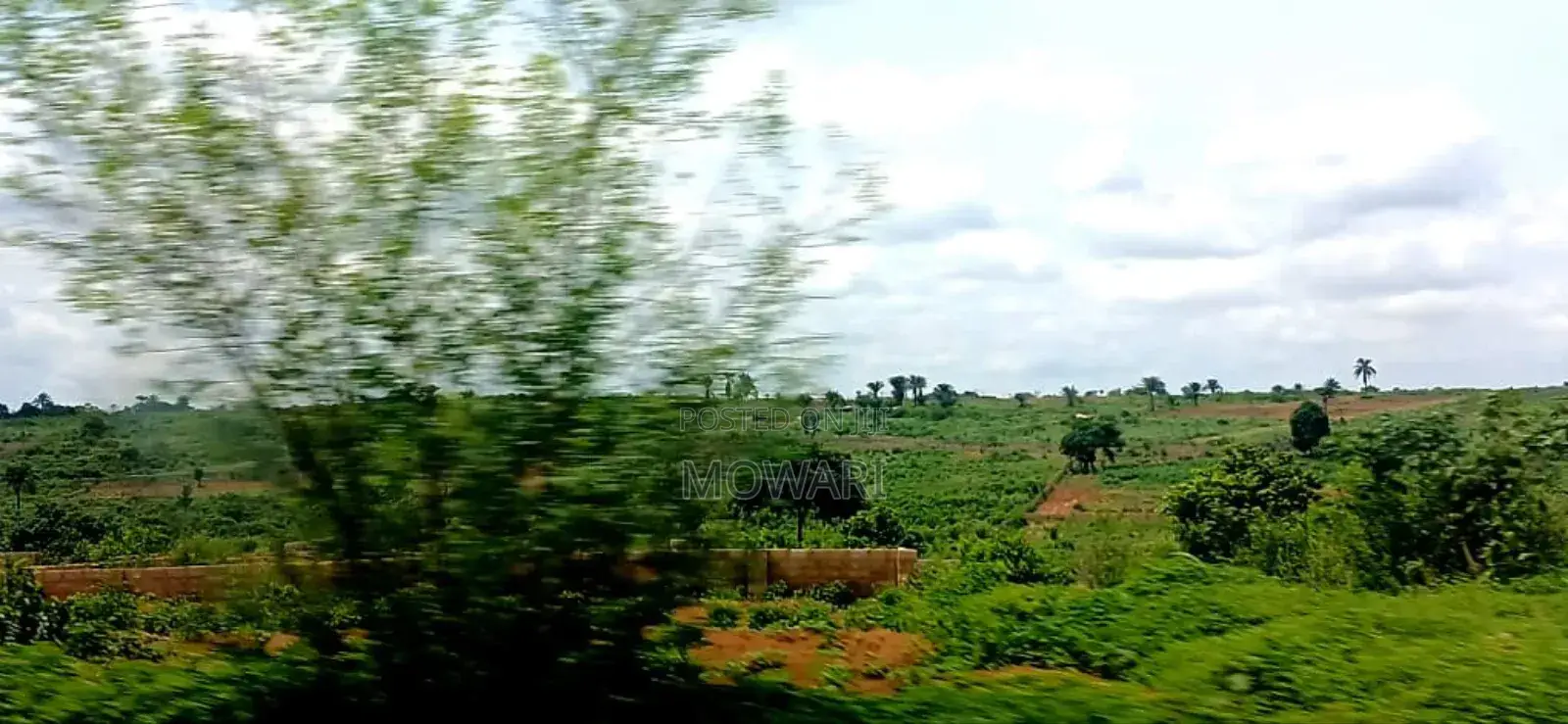 Secure Land Now — Entry Still Soft in Oshimili North