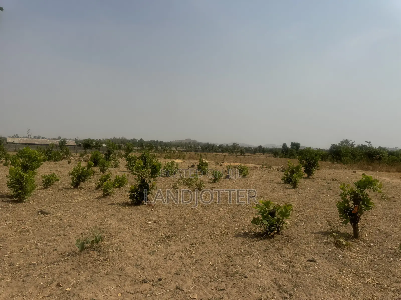 Apo Hectare 250m in Apo Resettlement