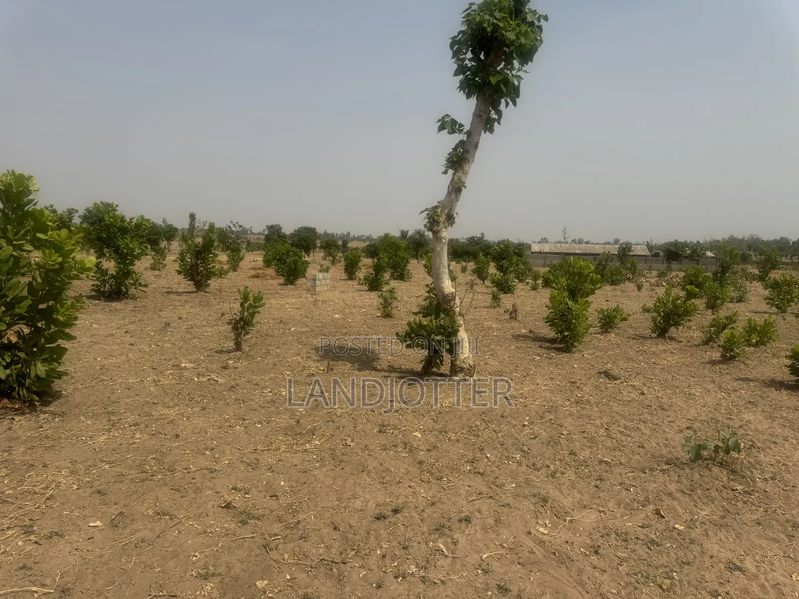 Apo Hectare 250m in Apo Resettlement