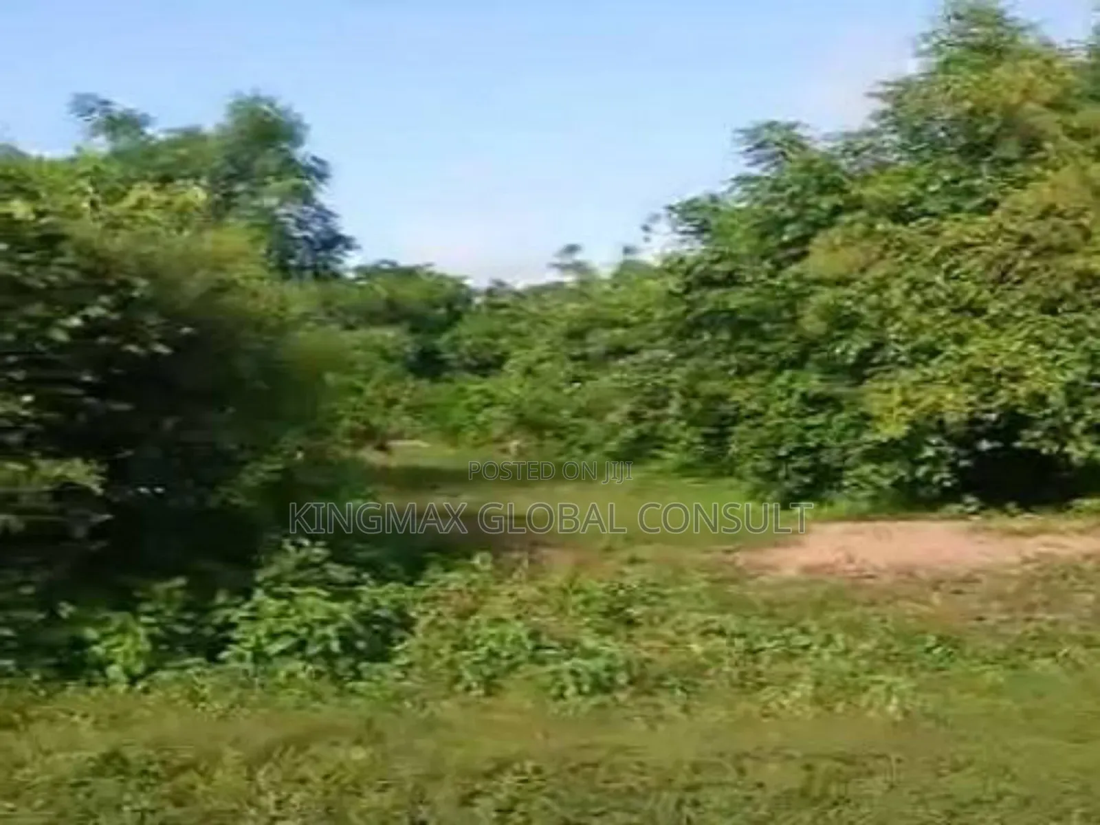 Land For Sale : Size- 1,200sqm Purpose - Residential Title- C Of O in Maitama