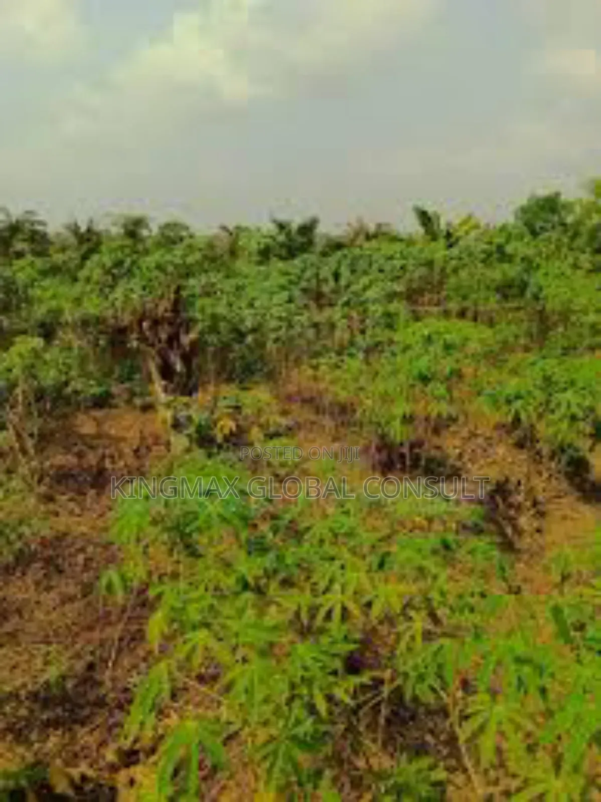 Land For Sale : Size- 1,200sqm Purpose - Residential Title- C Of O in Maitama