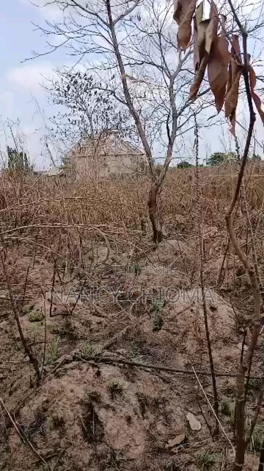 Land for Sale Behind Anamco New Heaven Extension Enugu in Enugu