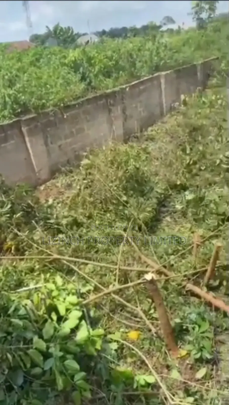 Distressed Sale of 50ft by 100ft Land for Sale at Ugbowo, Benin City in Benin City