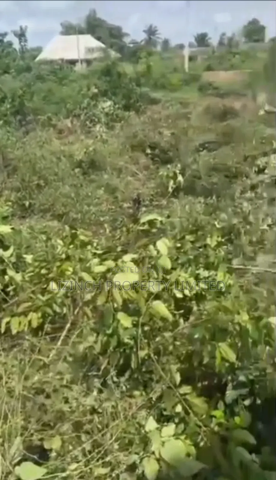 Distressed Sale of 50ft by 100ft Land for Sale at Ugbowo, Benin City in Benin City