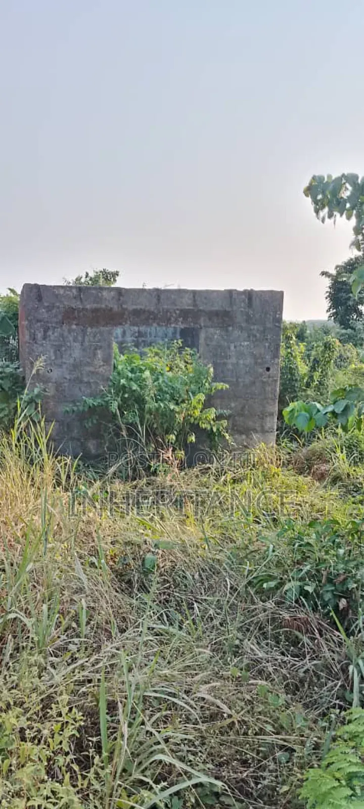 2bdrm Bungalow in Innec, Agric for sale in Agric