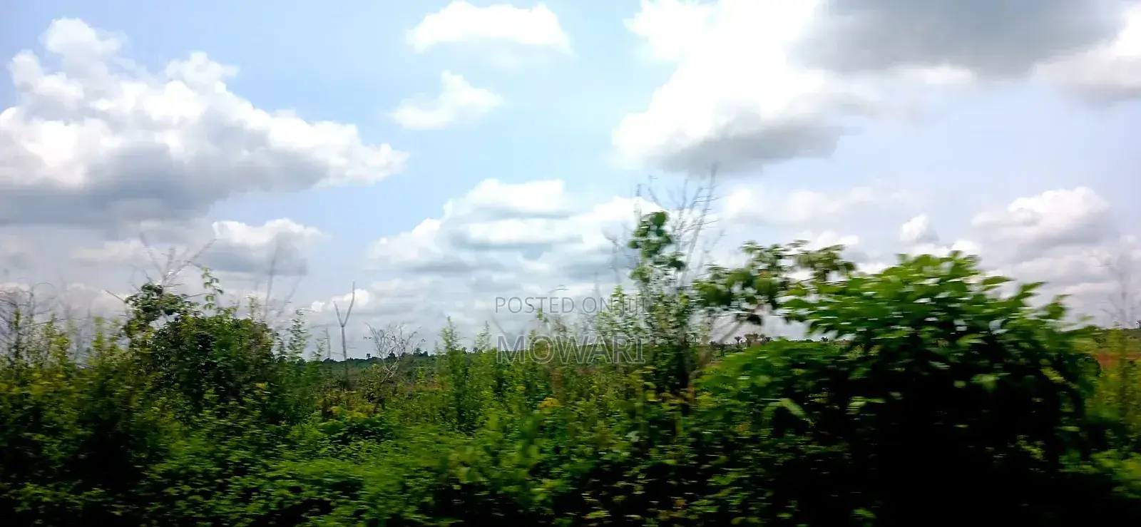 Your Advantaged Plot Is Fast Closing in Oshimili North