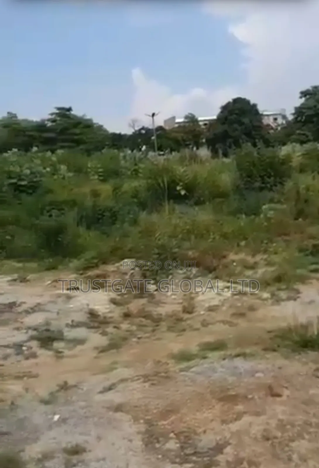 Fenced 2.3 Hectares of Land in Life Camp in Life Camp