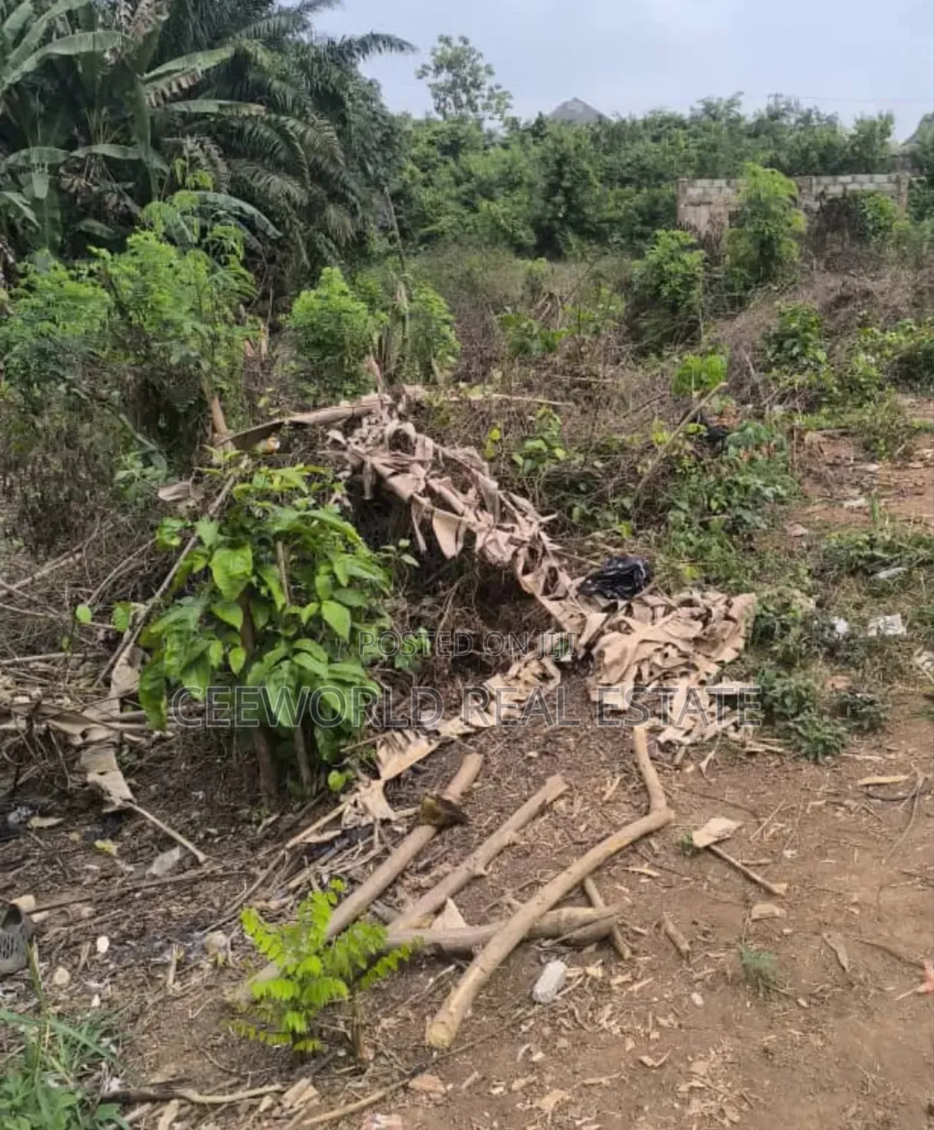 1300 SQM Fence and Gated Empty Land at Mokola Sango Ibadan in Dugbe (Onireke)