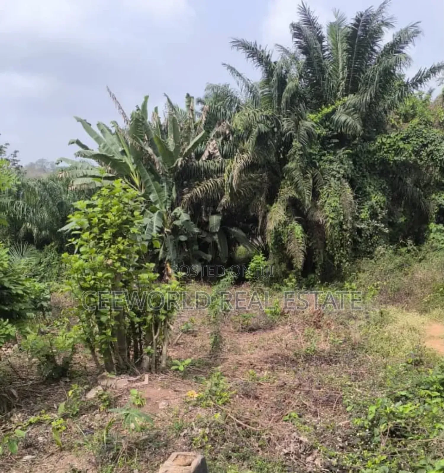 1300 SQM Fence and Gated Empty Land at Mokola Sango Ibadan in Dugbe (Onireke)