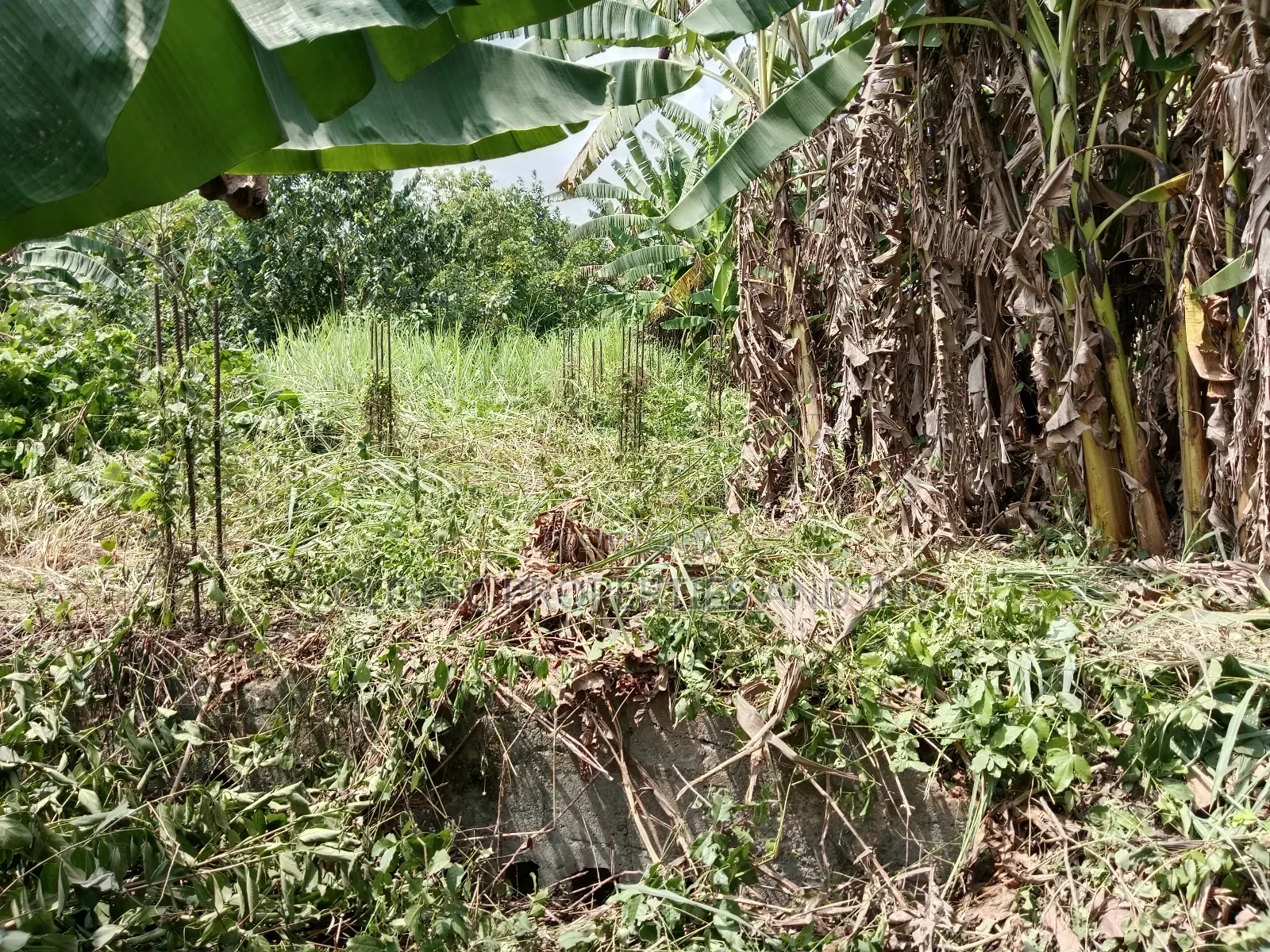 3 Plots of at in Cornerstone Estate, Magboro in Obafemi-Owode