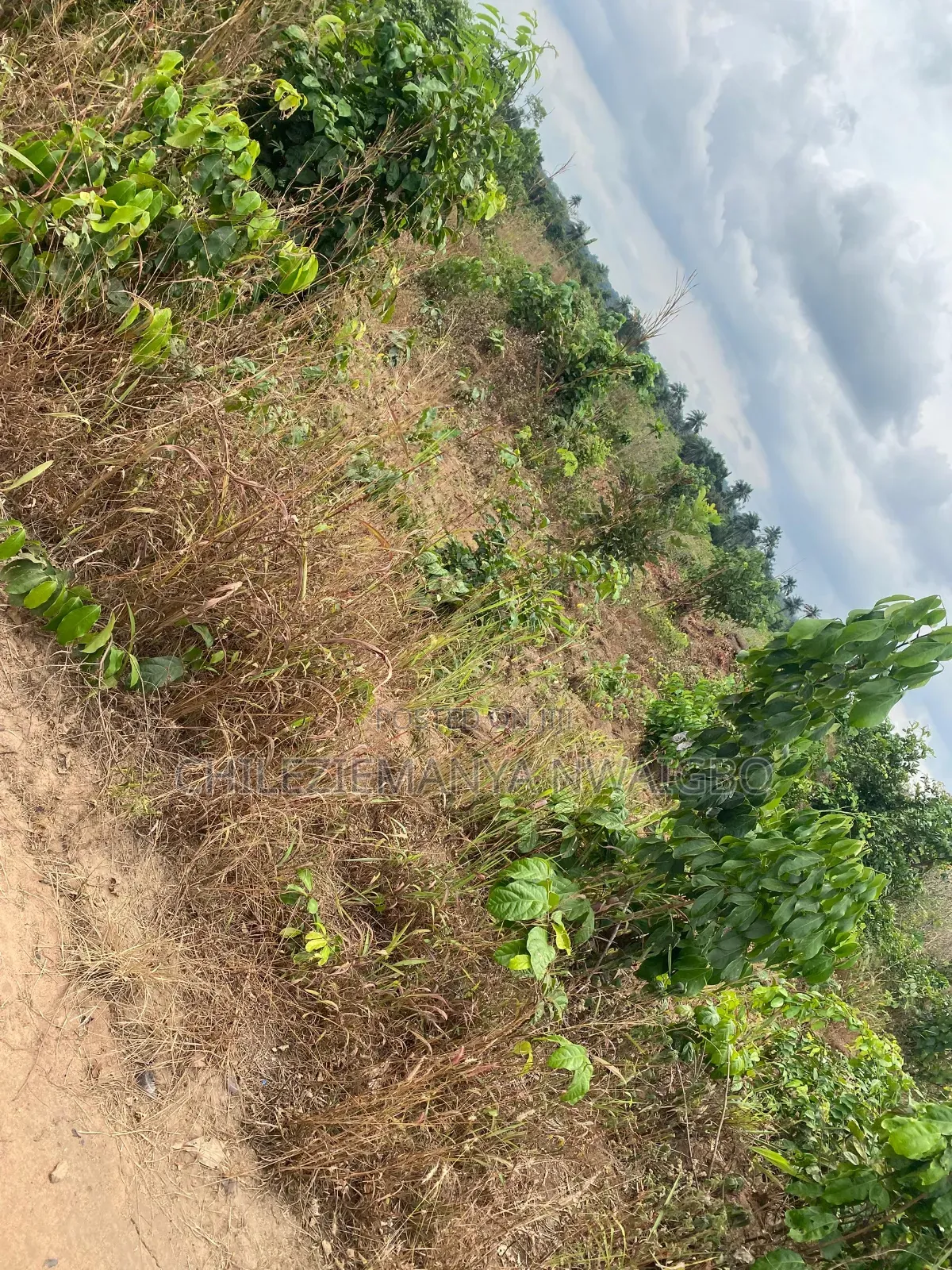 Prime 2 Plots in Inec Estate, Lodu Ibeku Umuahia (Allocation Paper) in Umuahia