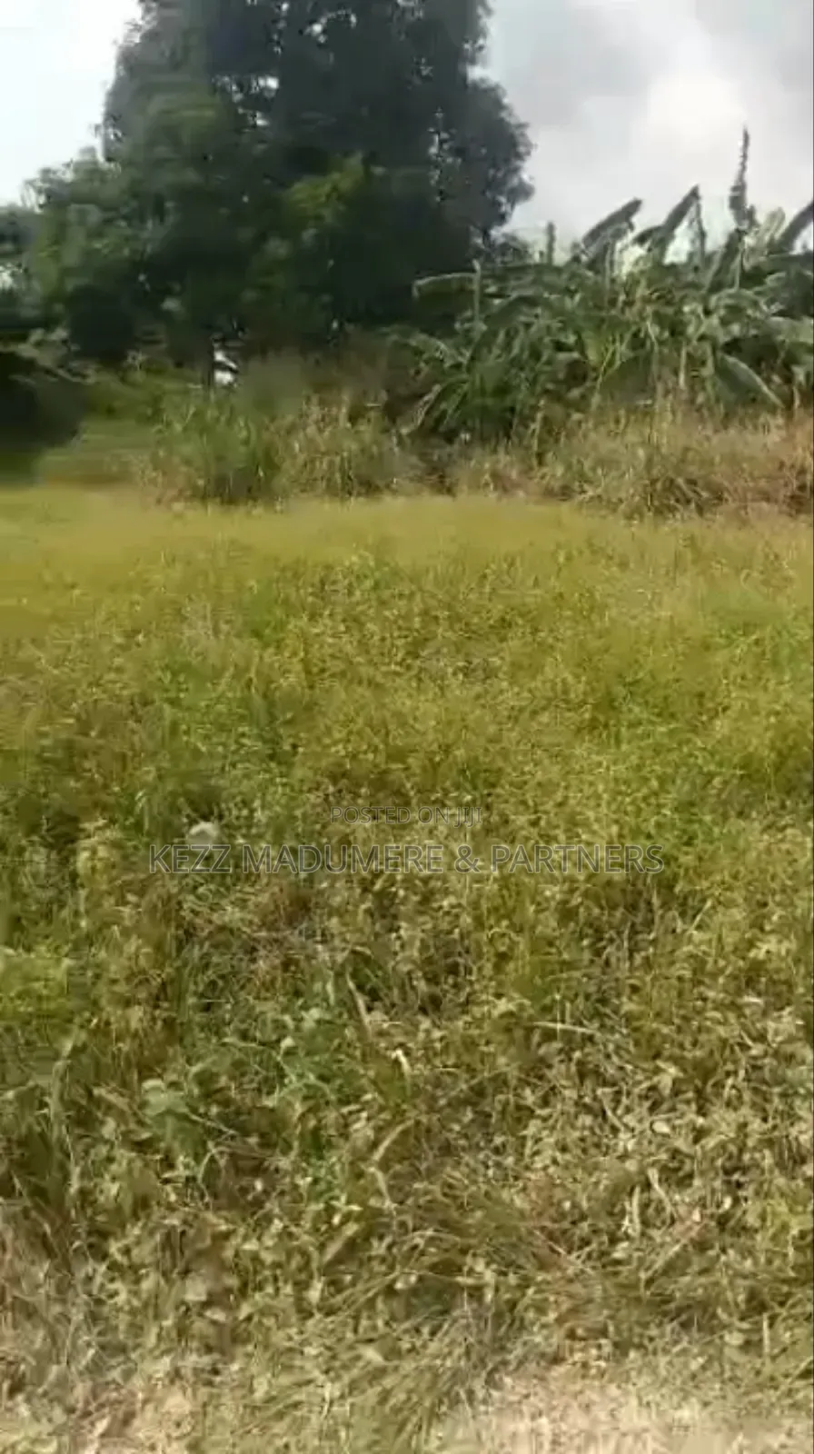 For Sale : Cofo 56 Fenced Plots at Trans Amadi, Ph in Trans Amadi