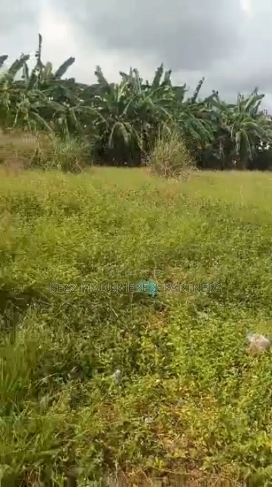For Sale : Cofo 56 Fenced Plots at Trans Amadi, Ph in Trans Amadi