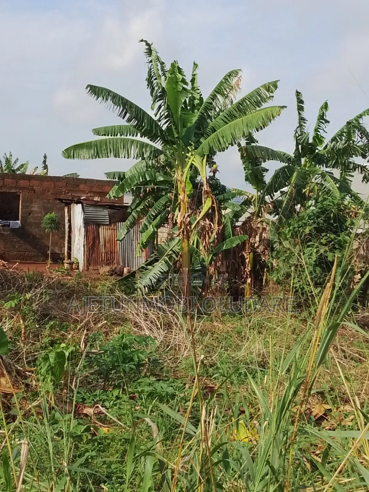 3bdrm Bungalow in Metropolitan School, Ado Ekiti for sale in Ado Ekiti